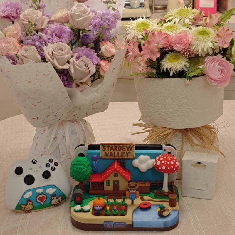Switch Dock Stardew Valley Far - đánh giá và giá Gaming Console With